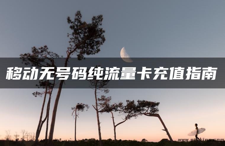 移动无号码纯流量卡充值指南