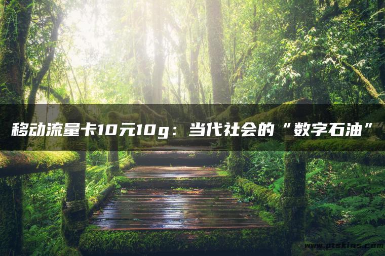 移动流量卡10元10g：当代社会的“数字石油”