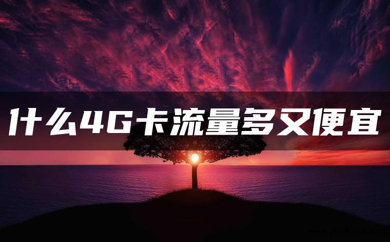 什么4G卡流量多又便宜